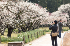 20150314)後楽園1