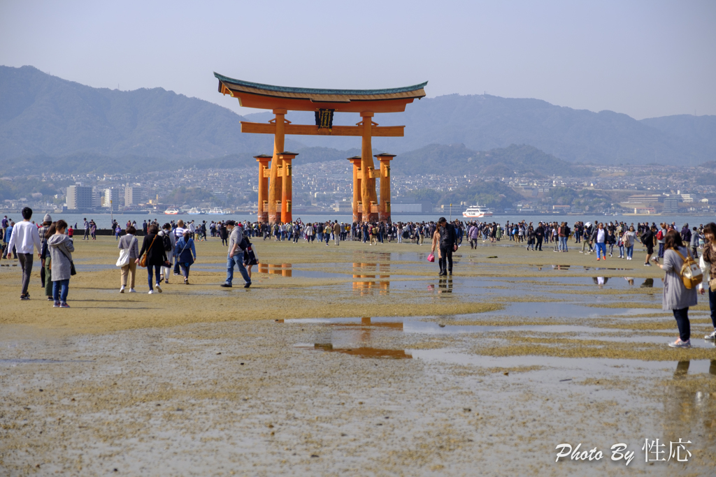 20180331)宮島In厳島神社にて-24