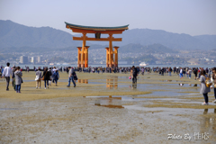 20180331)宮島In厳島神社にて-24