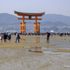 20180331)宮島In厳島神社にて-24