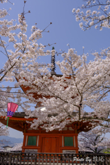 20180331)宮島In厳島神社にて-16