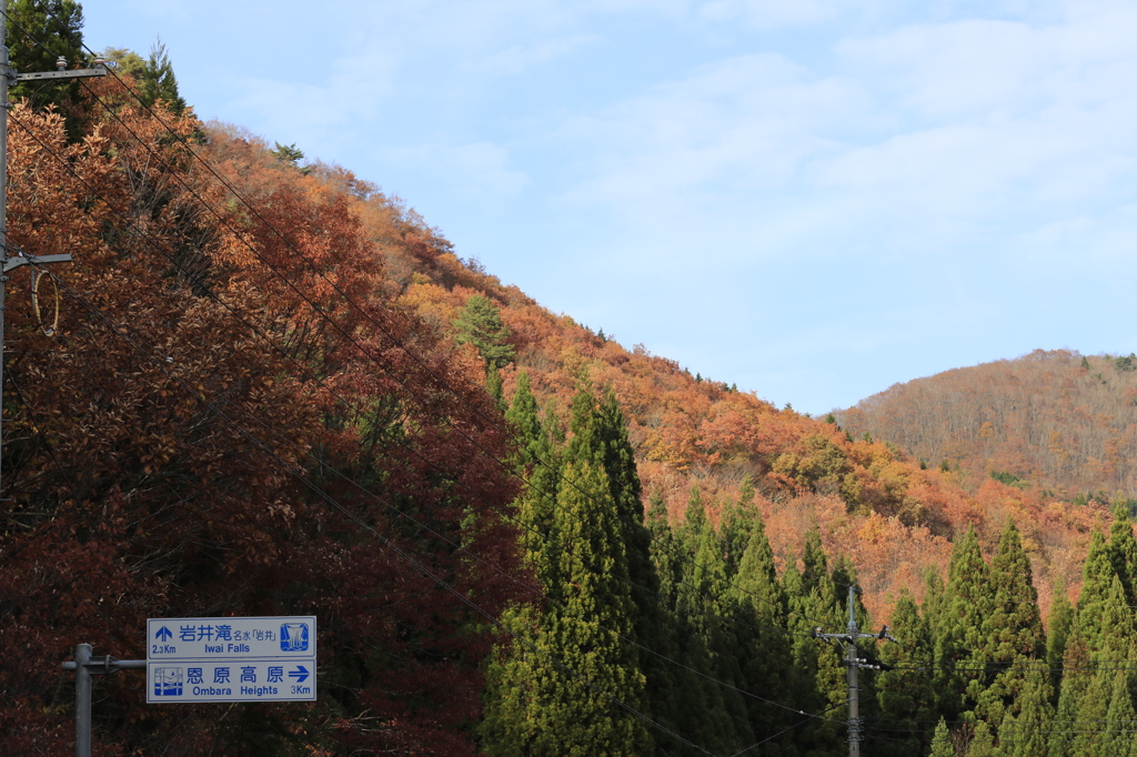20141116)いっぷく亭と岩井滝周辺(撮って出し)_112