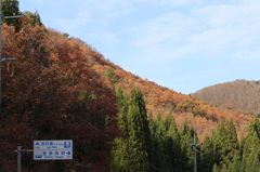20141116)いっぷく亭と岩井滝周辺(撮って出し)_112