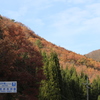 20141116)いっぷく亭と岩井滝周辺(撮って出し)_112