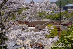 20180331)宮島In厳島神社にて-14