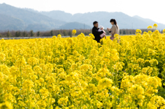 20150314)笠岡道の駅ベイファーム菜の花2