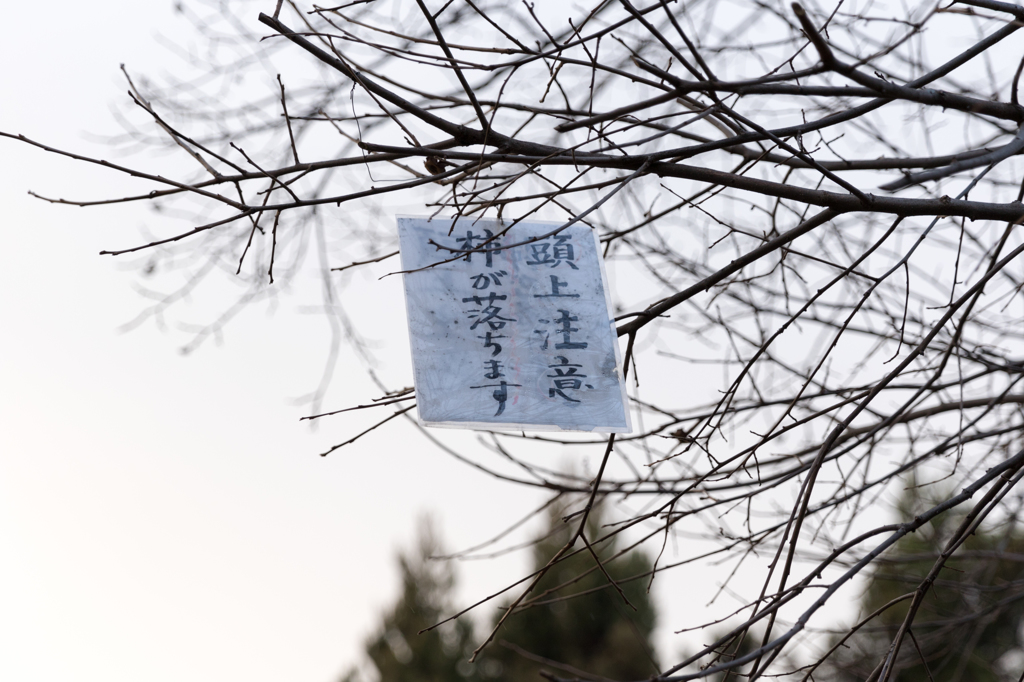 20141230-31)京都旅行(嵐山で見つけた注意事項)