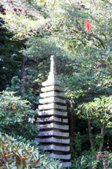 20151115)花の山寺「普門寺」散策(四季桜と紅葉)_12