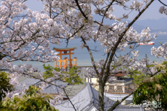 20180331)宮島In厳島神社にて-11