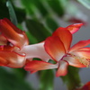 DSC00083