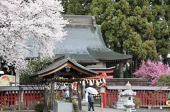 雨の参拝