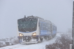 0B0DCE2D-D41F-4048-8FEA-F4329DDE2130