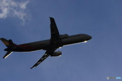 FS6A5191