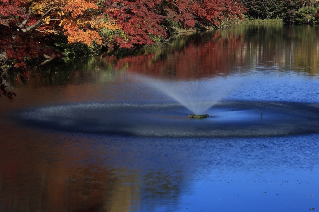 秋の噴水