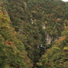 紅葉の中を