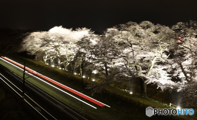 夜桜鉄道