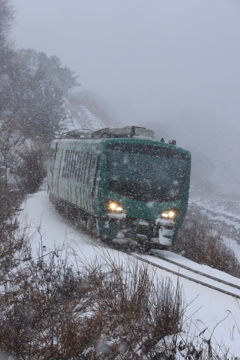 D2084A3D-4083-4A24-AFA3-2DC8CB2B23DD