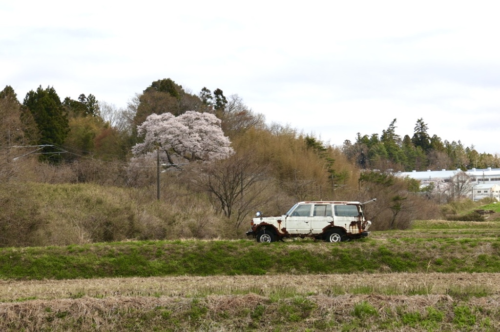 朽ちる