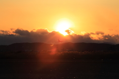夕日浴びて