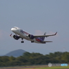 1/40で頑張りましたが