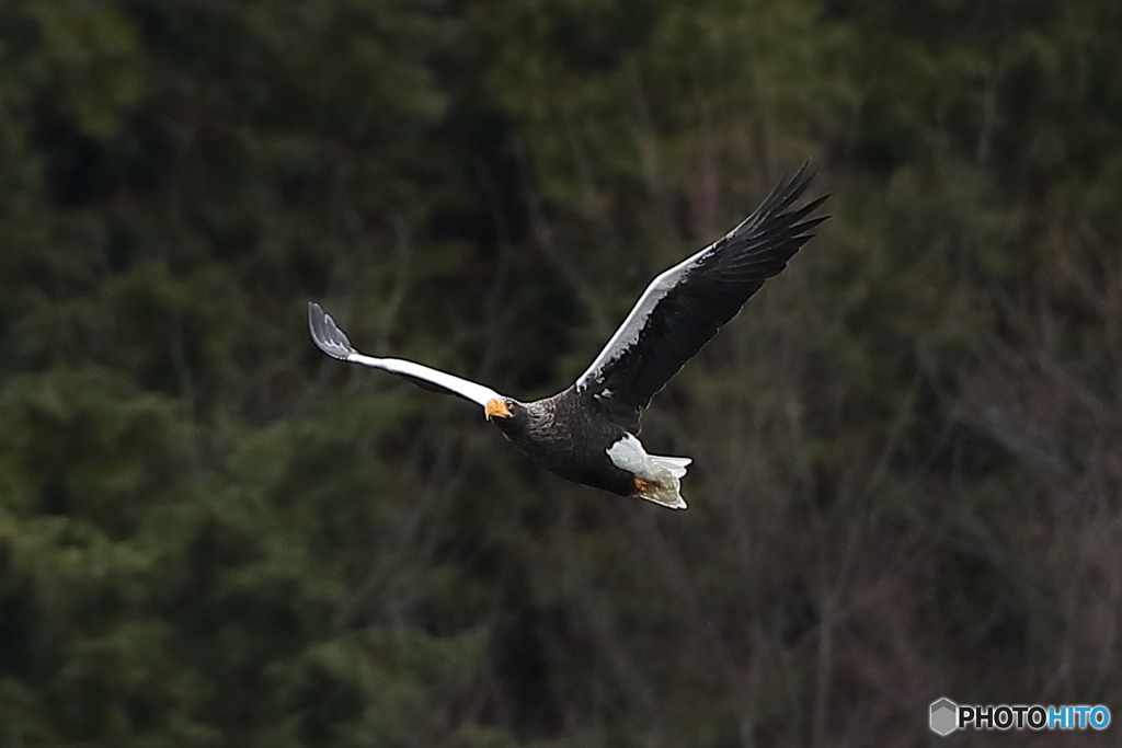 山本山のおばあちゃん