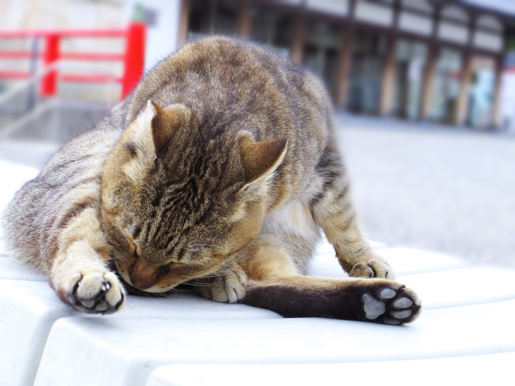 ふぅー。