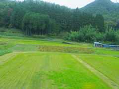 列車でゆこう！