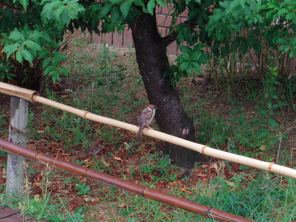 うへぇ、びしょびしょ