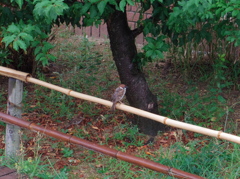 うへぇ、びしょびしょ