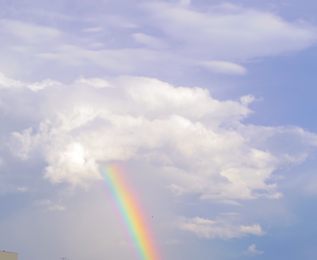 Rainbow