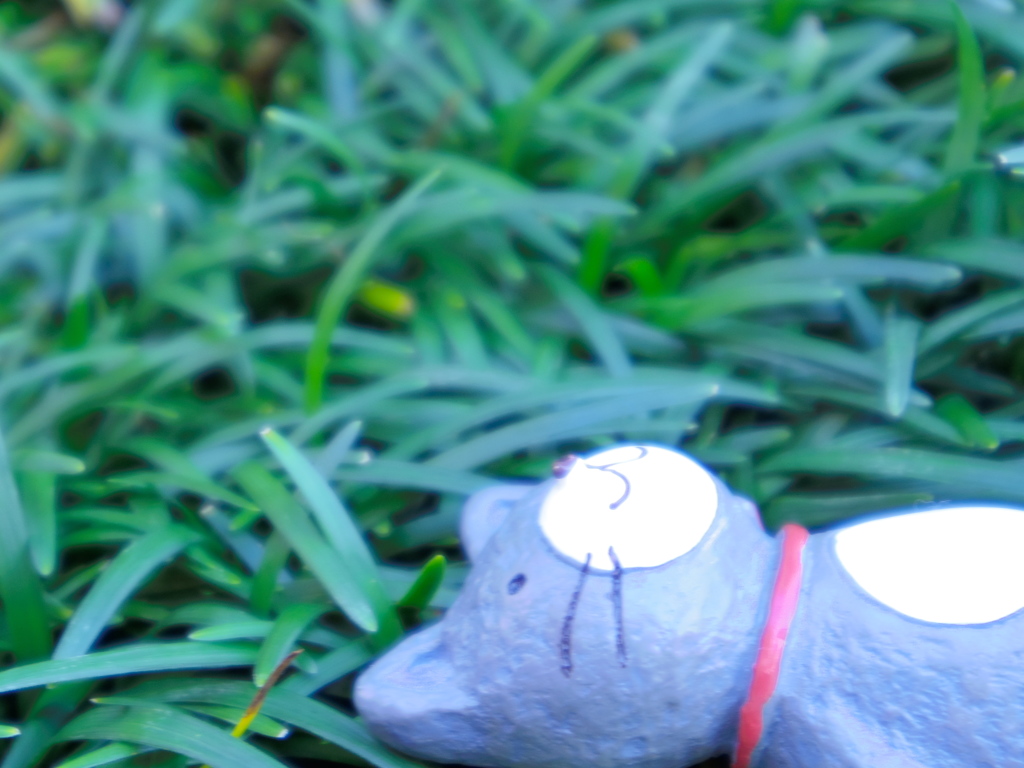 はぁ～。