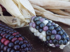 Jewellery Corn
