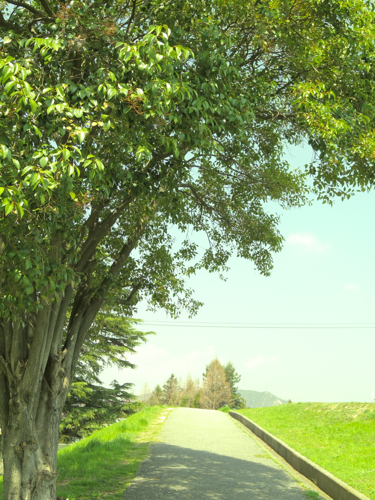 てくてくゆこう