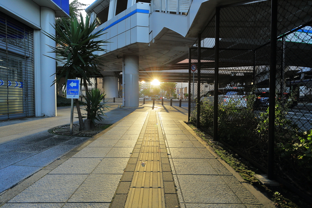 夕暮れスナップ