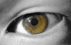 goldeneyes