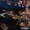 桜 × 東名高速道路