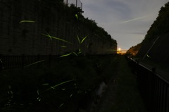 小さな自然の夜景