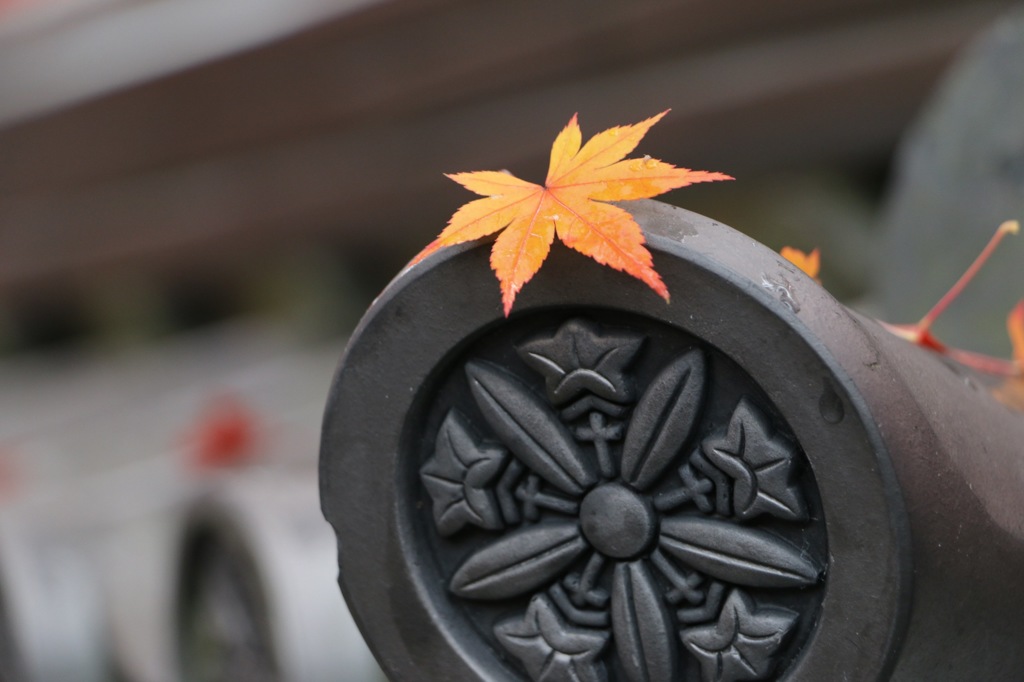 紅葉
