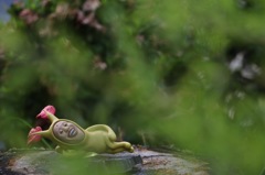こびと発見！！！