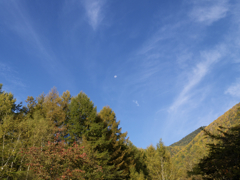乗鞍からです。