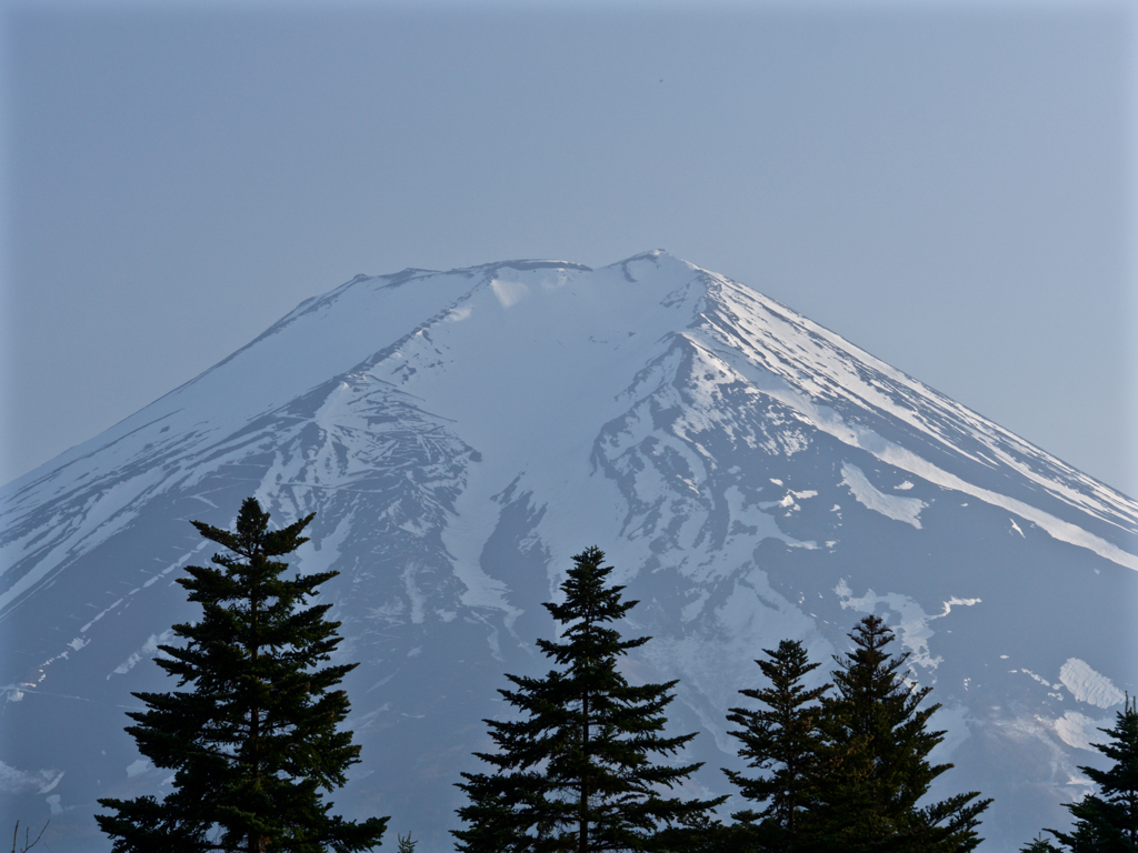 富士山①