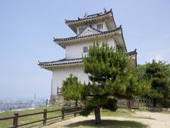 丸亀城