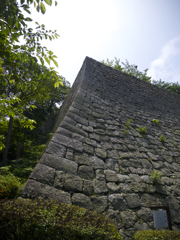 丸亀城　石垣