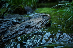 磐梯山の清流