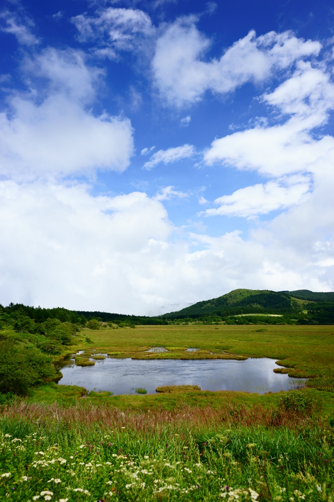 湿原