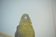 “何かこっちを見てる…”