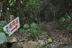 遍路道