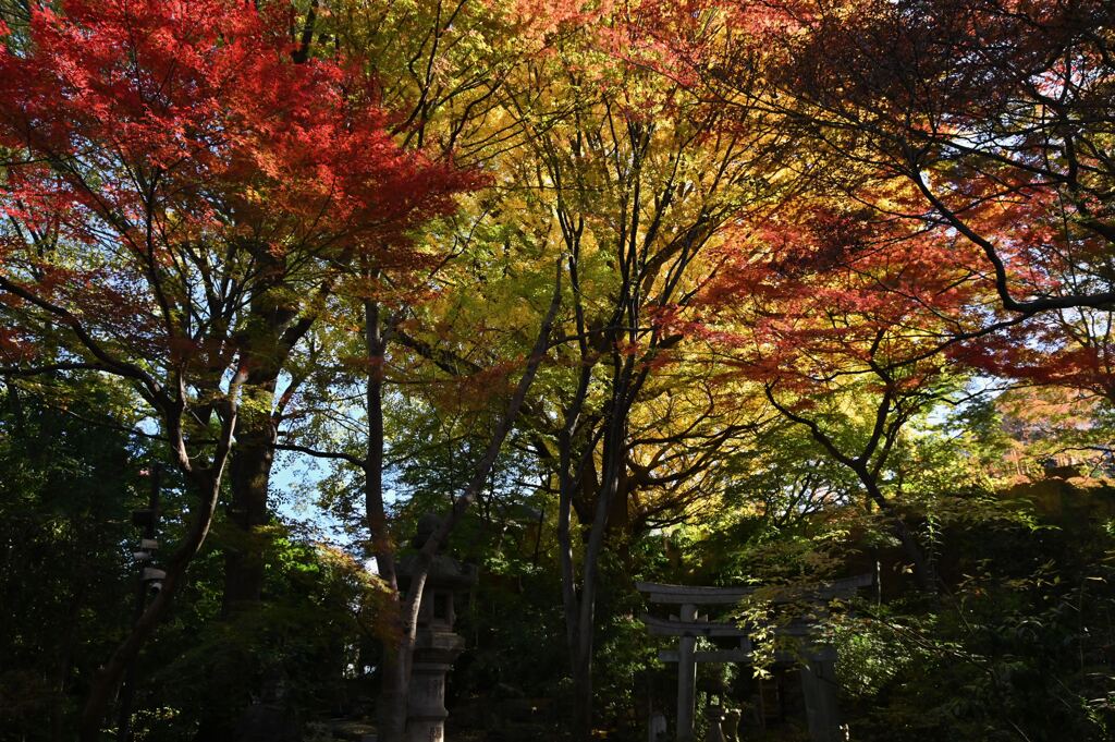 日本の伝統美