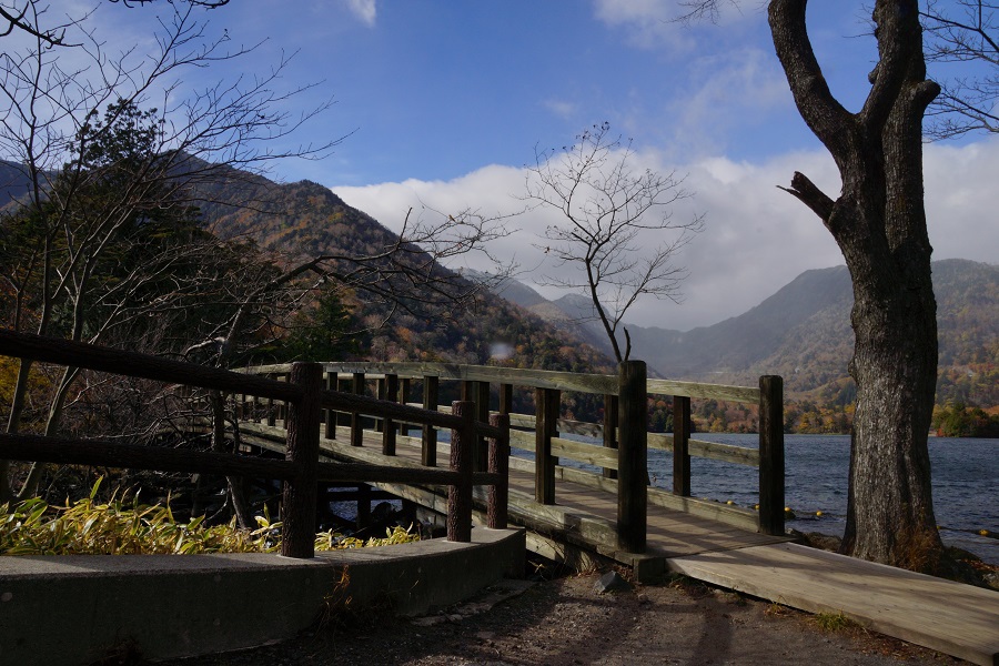 お散歩スナップ　DSC07782