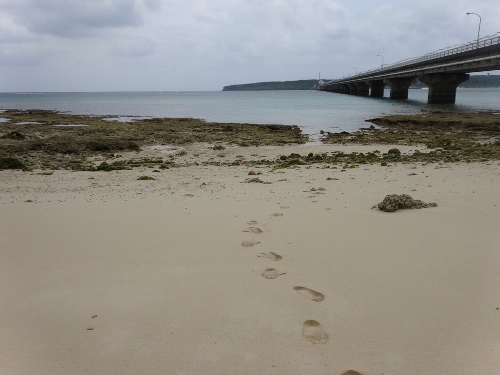 プライベートビーチ